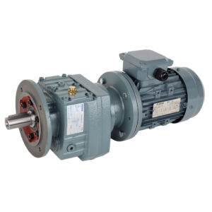 Gear Motor
