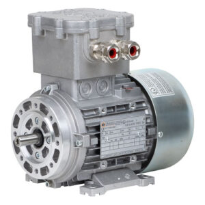 EXPLOSION-PROOF MOTOR